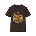 Camiseta Oshún “Amor, Belleza y Prosperidad” — Unisex Softstyle